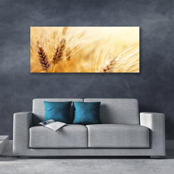Obraz Canvas Pšenica rastlina príroda 125x50 cm