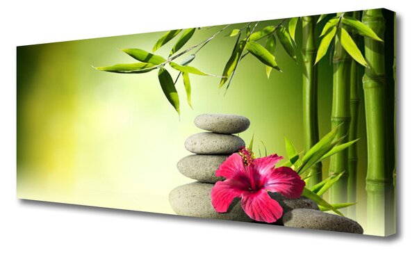 Obraz Canvas Bambus kvet kamene zen 125x50 cm