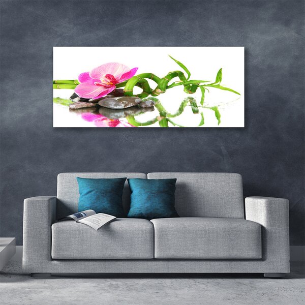 Obraz Canvas Bambus kvet kamene umenie 120x60 cm