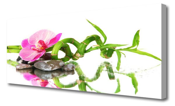 Obraz Canvas Bambus kvet kamene umenie 120x60 cm