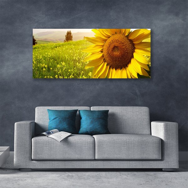 Obraz Canvas Slnečnica kvet rastlina 125x50 cm