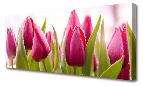 Obraz Canvas Tulipány kvety rastlina 125x50 cm
