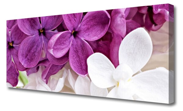 Obraz Canvas Kvety rastlina príroda 125x50 cm