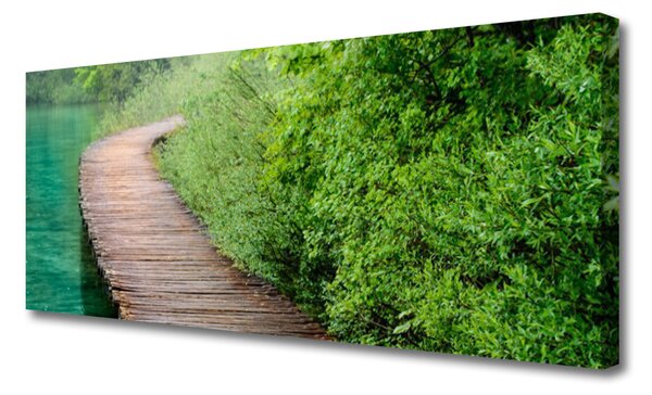 Obraz Canvas Most stromy architektúra 125x50 cm