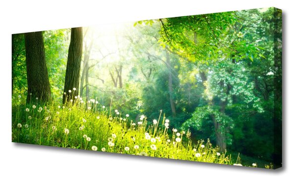 Obraz Canvas Lúka príroda rastlina 125x50 cm