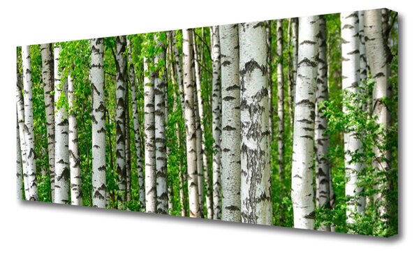 Obraz Canvas Les rastlina príroda 125x50 cm