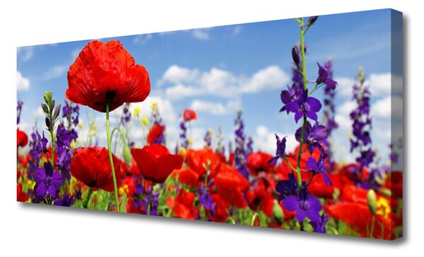 Obraz Canvas Kvety rastlina príroda 125x50 cm