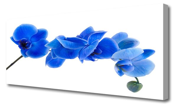 Obraz Canvas Kvet rastlina príroda 125x50 cm