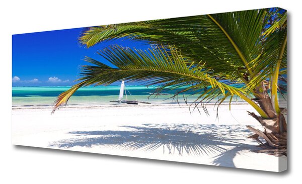 Obraz Canvas Pláž palma príroda 125x50 cm