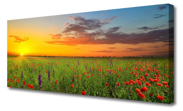 Obraz Canvas Slnko lúka kvety príroda 125x50 cm
