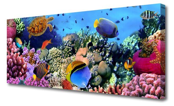Obraz na plátne Koralový útes príroda 125x50 cm