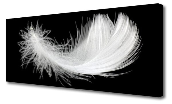 Obraz na plátne Pírko umenie 125x50 cm