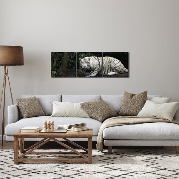 Obraz - Tiger albín (s hodinami) (90x30 cm)