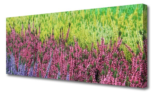 Obraz na plátne Kvet rastlina príroda 125x50 cm