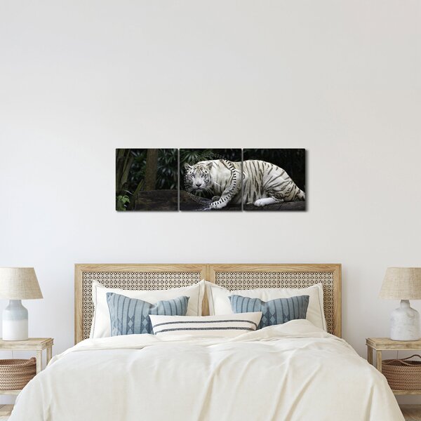 Obraz - Tiger albín (s hodinami) (90x30 cm)