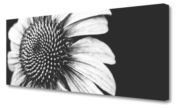 Obraz na plátne Kvet rastlina príroda 125x50 cm