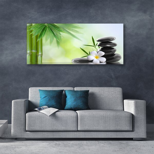 Obraz na plátne Bambus stonka kvet rastlina 120x60 cm