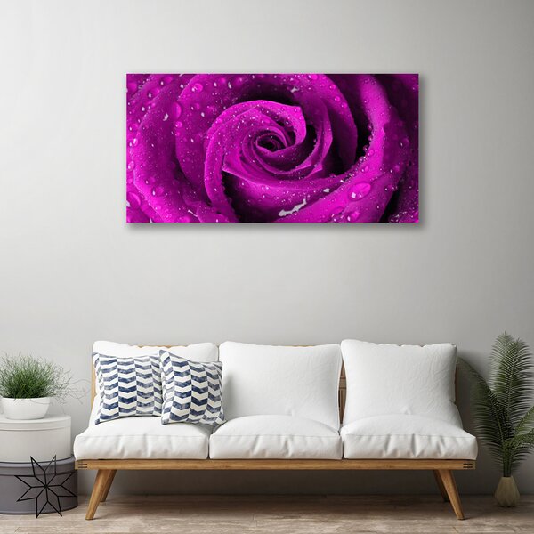 Obraz na plátne Ruže kvet rastlina 125x50 cm