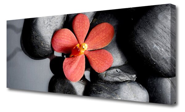Obraz na plátne Kvet kamene umenie 125x50 cm