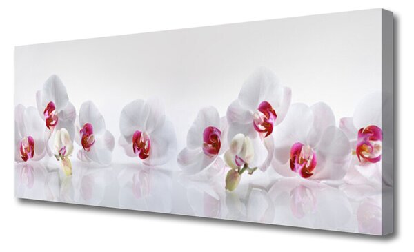 Obraz na plátne Kvety rastlina príroda 125x50 cm