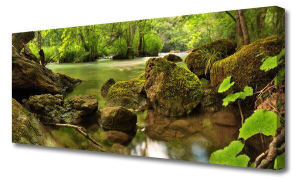 Obraz na plátne Skala jazero príroda 125x50 cm