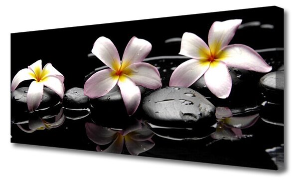 Obraz na plátne Kvet kamene rastlina 125x50 cm