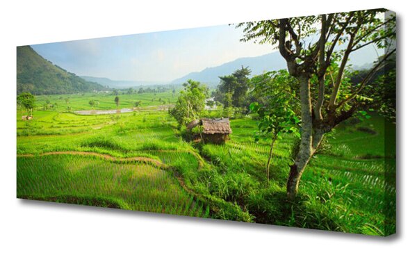Obraz na plátne Lúka príroda 125x50 cm