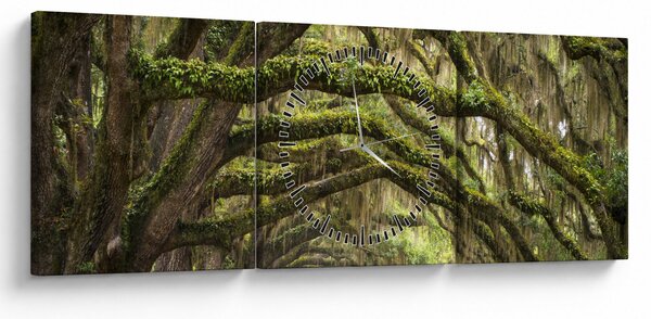 Obraz - Oaks Avenue, Charleston, Južná Karolína, USA (s hodinami) (90x30 cm)