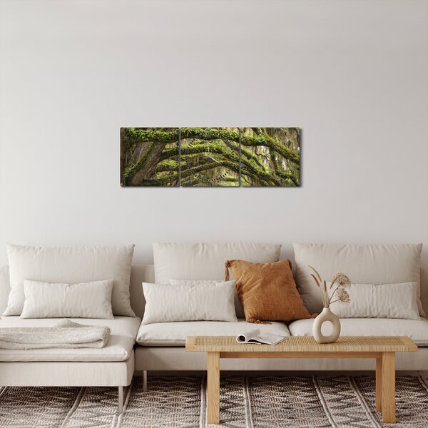 Obraz - Oaks Avenue, Charleston, Južná Karolína, USA (s hodinami) (90x30 cm)