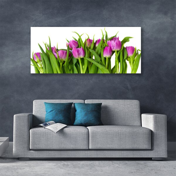 Obraz na plátne Tulipány kvety rastlina 125x50 cm