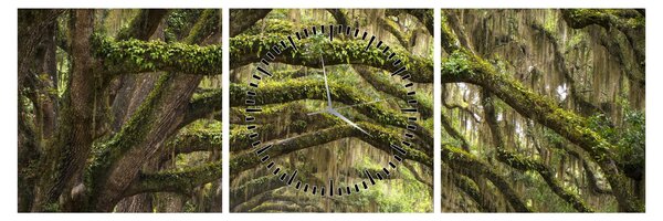 Obraz - Oaks Avenue, Charleston, Južná Karolína, USA (s hodinami) (90x30 cm)