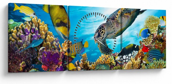 Obraz koralového útesu (s hodinami) (90x30 cm)