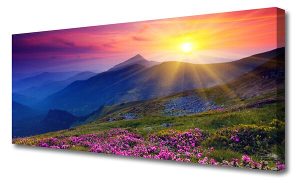 Obraz na plátne Hory kvet lúka krajina 125x50 cm