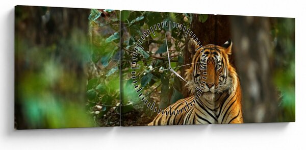 Obraz odpočívajúceho tigra (s hodinami) (90x30 cm)
