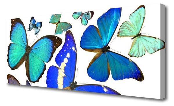 Obraz na plátne Motýle príroda 125x50 cm