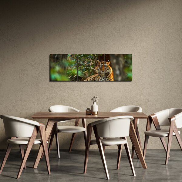 Obraz odpočívajúceho tigra (s hodinami) (90x30 cm)
