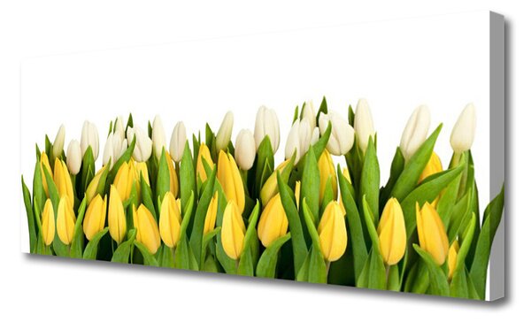 Obraz na plátne Tulipány kvety rastlina 125x50 cm