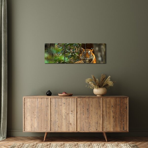 Obraz odpočívajúceho tigra (s hodinami) (90x30 cm)