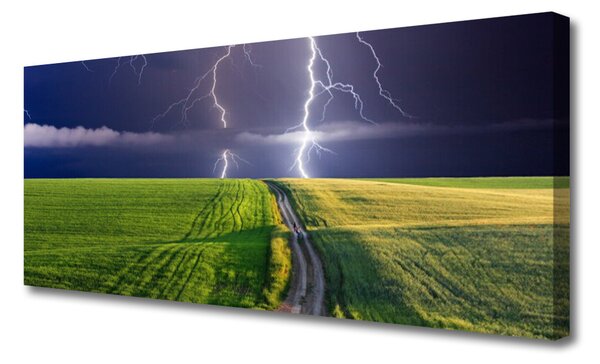 Obraz na plátne Pole blesk krajina 125x50 cm