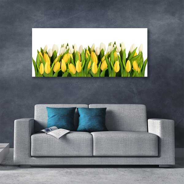 Obraz na plátne Tulipány kvety rastlina 125x50 cm