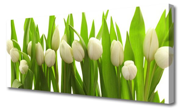 Obraz na plátne Tulipány kvety rastlina 125x50 cm