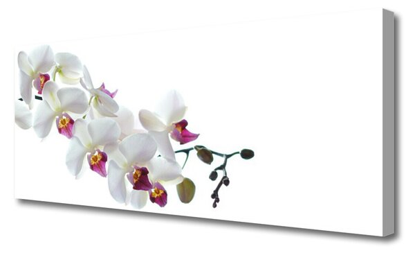 Obraz na plátne Kvety rastlina príroda 125x50 cm