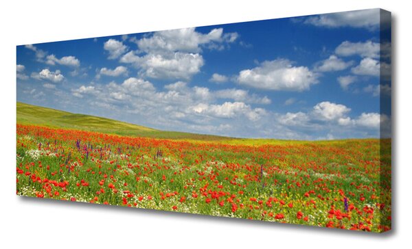 Obraz na plátne Lúka kvety príroda 125x50 cm