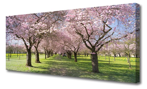Obraz na plátne Chodník stromy príroda 125x50 cm