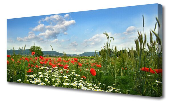 Obraz Canvas Lúka kvety príroda 125x50 cm