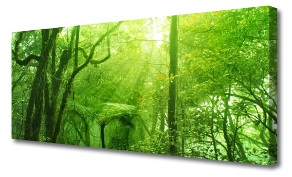 Obraz na plátne Stromy príroda 125x50 cm