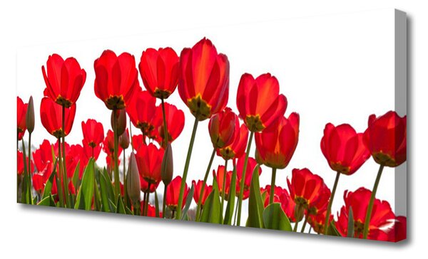 Obraz na plátne Kvety 125x50 cm