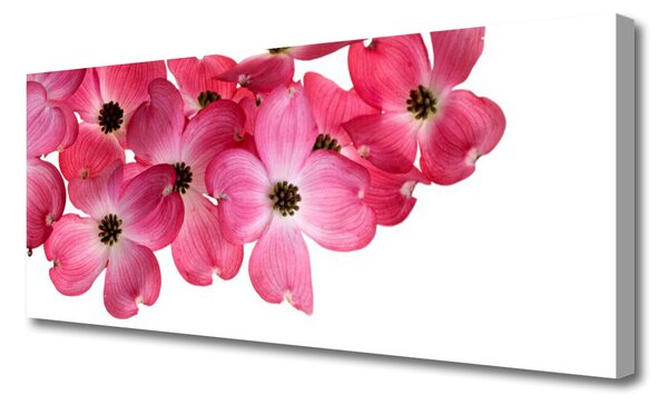 Obraz na plátne Kvety 125x50 cm
