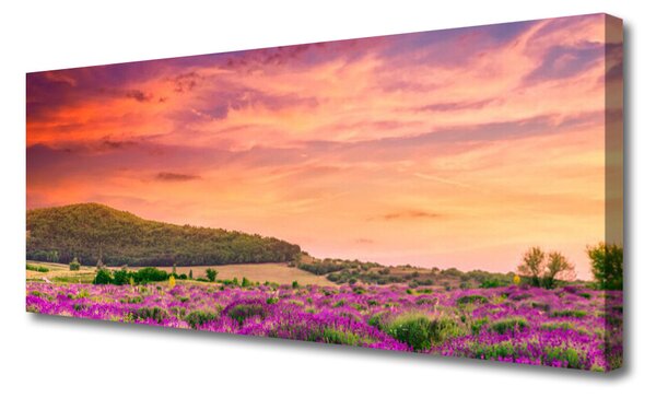 Obraz na plátne Lúka kvety príroda 125x50 cm