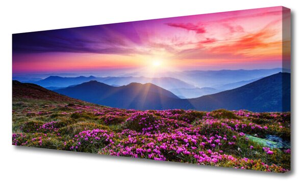 Obraz na plátne Hora lúka kvety príroda 125x50 cm